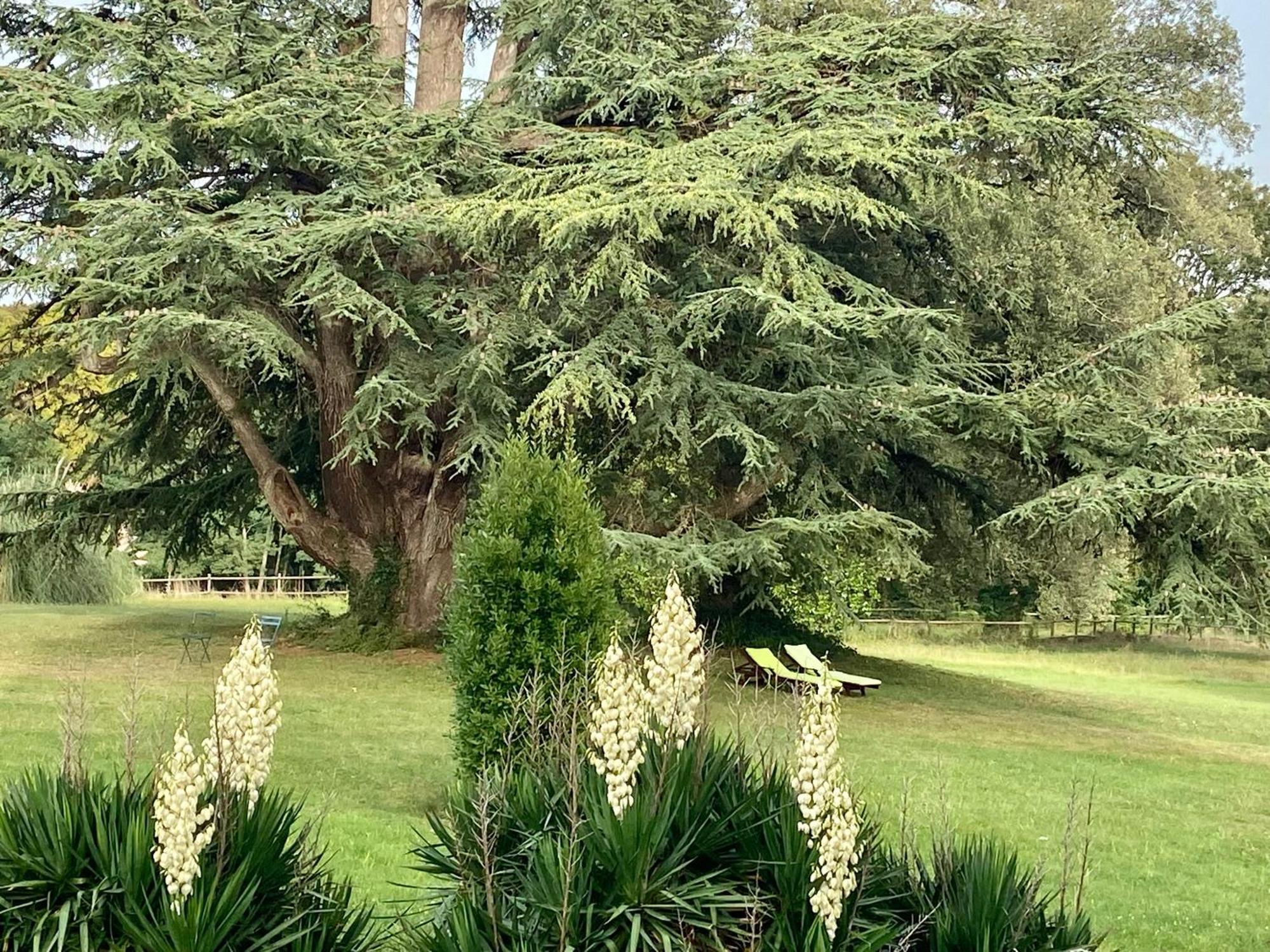 Chateau La Bainerie Tierce Dış mekan fotoğraf